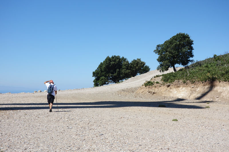 A hiker on gravelly ground with a few trees in the background.