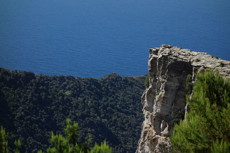 Natural scenery with trees, a rock looming over and sea in the background.